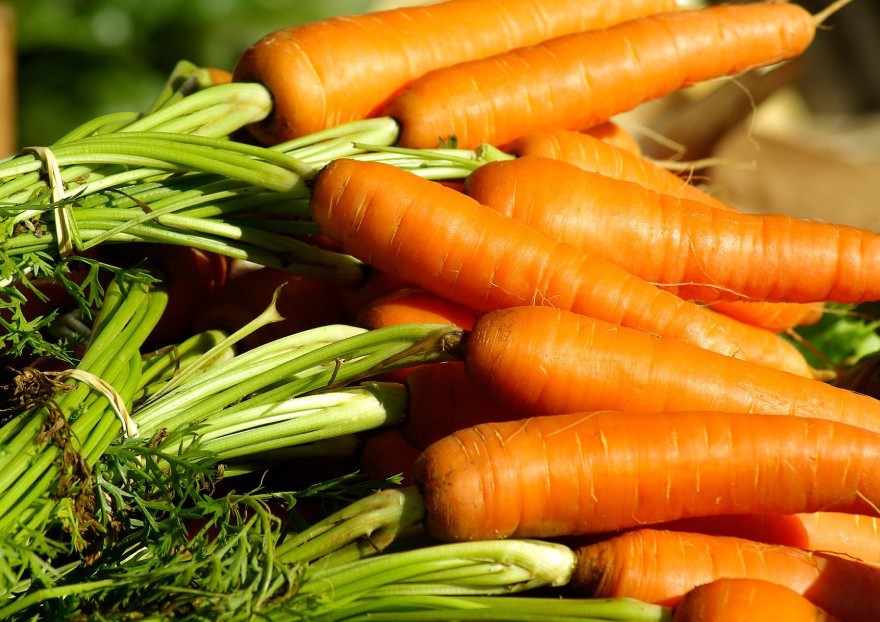 Comment bien conserver les carottes?