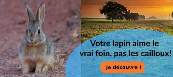 Foins de crau lapins